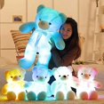 thumbnail image 4 of Creative Light Up LED Inductive Teddy Bear Stuffed Animals Plush Toy, 4 of 4