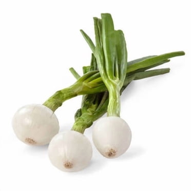 NO BRAND FRESHVEG GREEN ONIONS