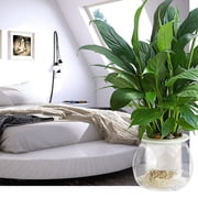 Daily Deals! Aminojy Indoor Plant Pots Self Watering Planter Violet Pots Clear Plastic Automatic Watering Planter Flower Pot Pot For All House Plants