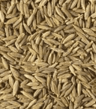 Q CUMIN SEED - FRENCH