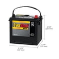 thumbnail image 5 of EverStart Auto MAXX-35N, 12 Volt, Car Battery, Group Size 35, 550 CCA, 5 of 5
