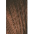 thumbnail image 2 of Schwarzkopf Igora Color10 6-65 Blond Foncé Chocolat Doré, 60 g, 2 of 2