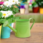 Mini Indoor Plant Watering Can with Handle, 350 ml, Lightweight Plastic, Slim Spout for Precise Watering of Houseplants, Suitable for Indoor and Outdoor Garden Use