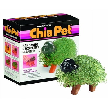 Chia Pet Grass Planter: Puppy