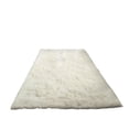 thumbnail image 1 of Rugs for Bedroom Area Rugs for Bedroom Turquoise Green- 63X31.5 Inches Rug- Shag Rugs for Living Room- Furry Carpet for Kids Girl Room- Indoor Throw Rug for Nursery Area Rugs for Living Room, 1 of 6