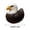 A, variant on Limited Edition Hand-Painted Wild Animal Rubber Duck Set Artisan Crafted Collectible Animal Ducks Nature Inspired Home Decor Gift