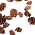 thumbnail image 4 of veasfak 50 Pieces Assorted Size Mini Decorative cone Cones for Vase Bowl Filler, 4 of 9
