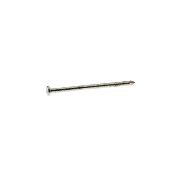 5 lbs 4 in. 20D Common Hot-Dipped Galvanized Steel Flat Nail