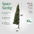 thumbnail image 4 of Home Heritage Half Pine 5' Pre-Lit Artificial Christmas Tree, 100 White LED, 4 of 20