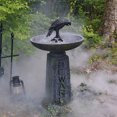 thumbnail image 4 of XZNGL Halloween Exquisite Crow Skeleton Resin Ornament - Beware Bird Bath, 4 of 9