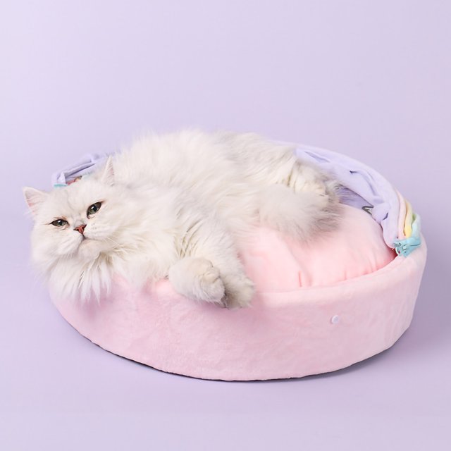 Cat Cat Pod Rainbow Cat Four Seasons Available Bottom Skid Resistance Design Soft Comfortable Cat House For Cats Dogs Pets