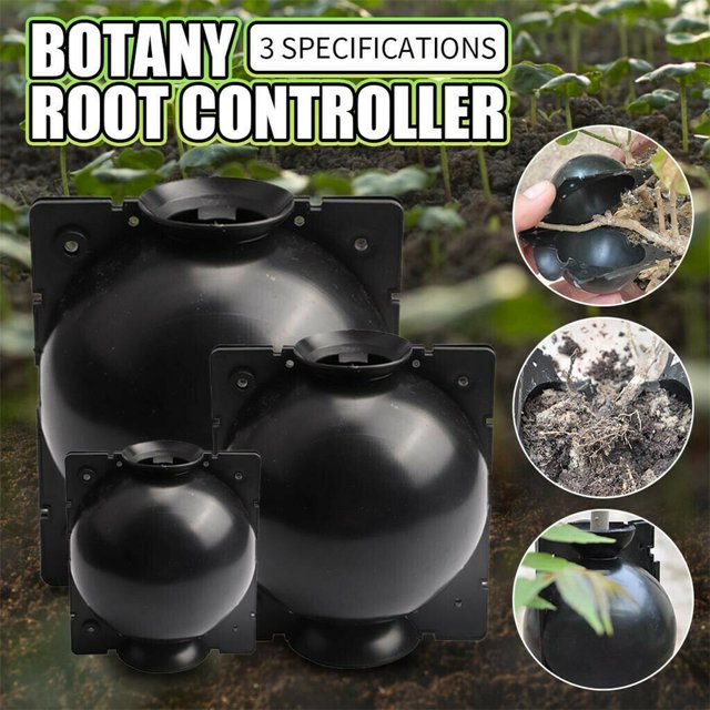 Dispositif d'Enracinement des Plantes à Haute Pression à Bille de Propagation à Haute Pression à Boîte de Greffe