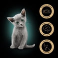 thumbnail image 2 of SHEBA PERFECT PORTIONS Wet Kitten Food Paté Delicate Salmon Entrée, 2 of 9
