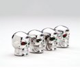 thumbnail image 1 of Cache-valve tête-de-mort, 1 of 1