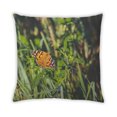 thumbnail image 2 of Ahgly Company Coussin Décoratif Intérieur Insectes Papillon, 18 Pouces par 18 Pouces, 2 of 6