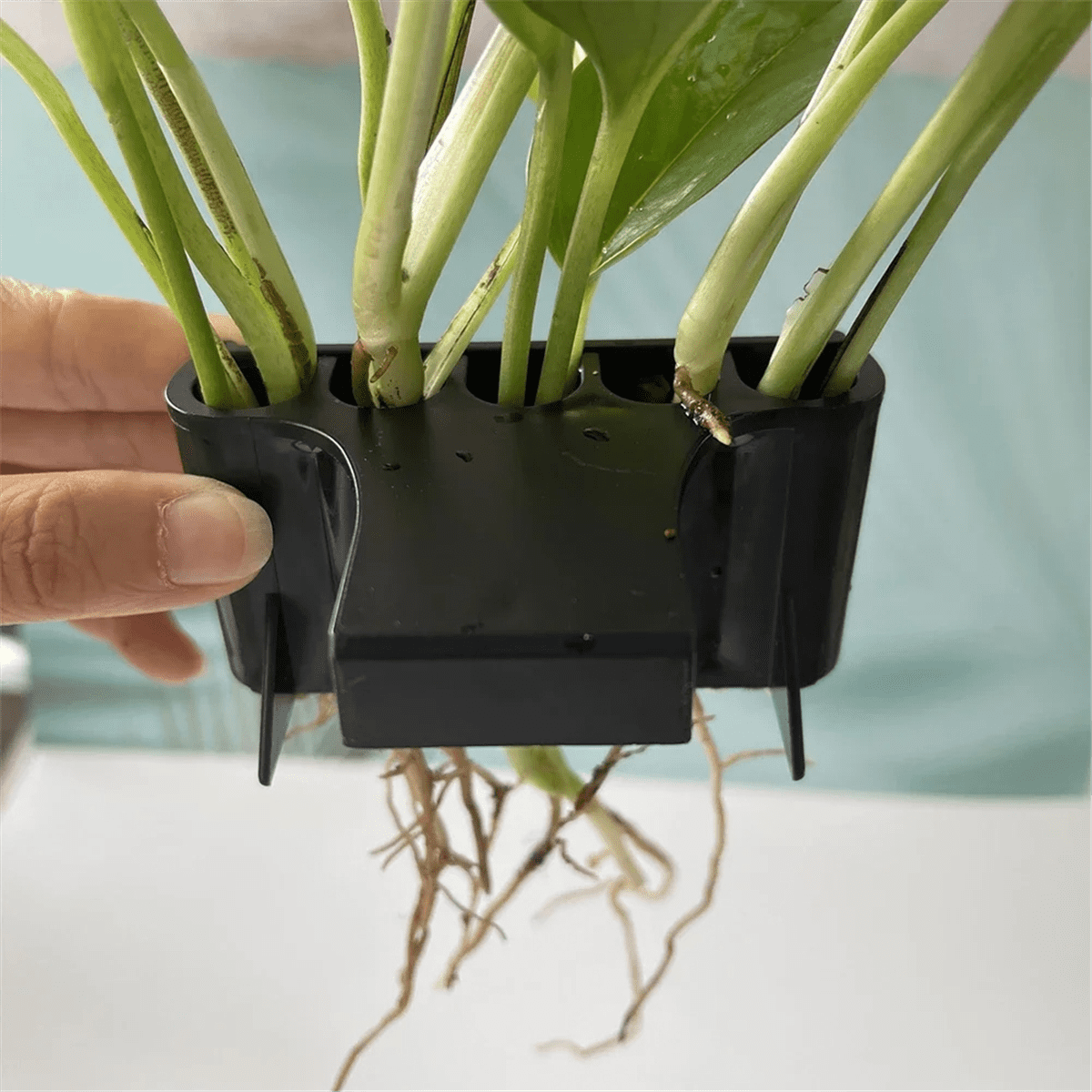 Aquarium Planter Aquarium Plant Basket Fish Tank Decorations with Integrated Hook for Fish Tank Potted Live Aquarium