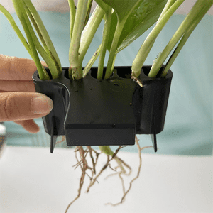 Aquarium Planter Aquarium Plant Basket Fish Tank Decorations with Integrated Hook for Fish Tank Potted Live Aquarium