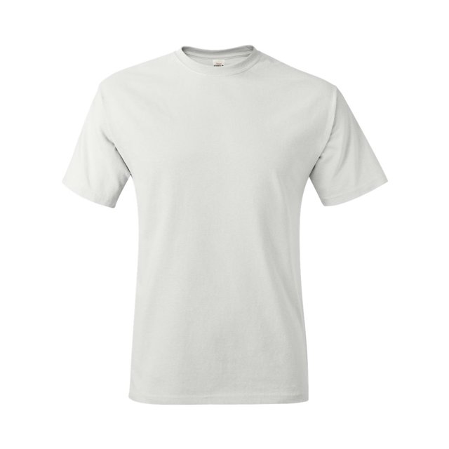 Hanes T-Shirt Authentic-T pour Hommes