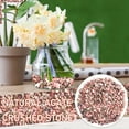 thumbnail image 2 of Small Green Stones Polished River Rocks Stepping Stones for Kids Craft Decorative Stones for Vases Clear Stepping Stones Outdoor Kids Stepping Stones for Kids Garden Decorative Stones for Vases Amber, 2 of 4