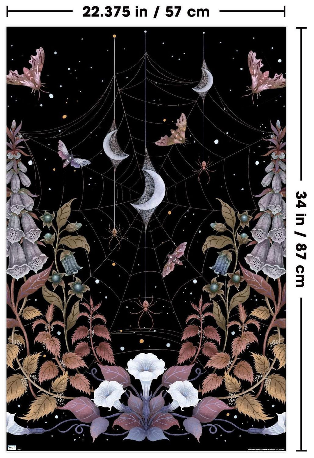 Dessin épisodique - Jardin de sorcières