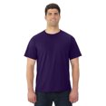 thumbnail image 1 of Jerzees Adult HiDENSI-T Short Sleeve Crew T-Shirt, S, Deep Purple, 1 of 1