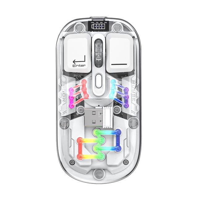 Graflsoa Souris Sans Fil Transparente à Double Mode H118 avec Éclairage RVB, 2,4 G+Bluetooth, 1600 Dpi Réglable, Clics Silencieux, Recharge USB‐C, Batterie 400 mAh et Couvercle Magnétique