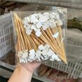 thumbnail image 1 of TIMIFIS Wooden Toothpick, Easter Toothpick Exclusive Fruit Stick Bar Restaurant Decoration Disposable Bamboos Fruit Stick Home Decor, 1 of 7