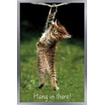 thumbnail image 1 of Célèbre chaton accroché là-bas Poster, 1 of 5