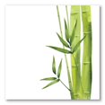 thumbnail image 2 of Designart Bamboo Branches In The Forest V Canvas Wall Art, 2 of 4