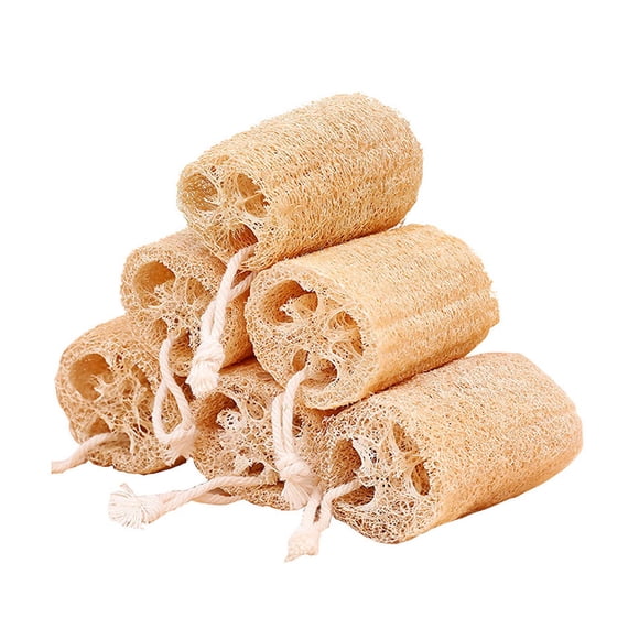 Éponge de Luffa Naturelle Biologique, Hydrothérapie au Luffa, Ensemble de 6 Pcs, Exfoliant et Adoucissant, Bain et Douche, Éponge de Luffa, Gommage Corporel pour Hommes et Femmes, Brosse de Gommage Rigide, Bracelet Cape Cod, Doux Balayage, Ponce