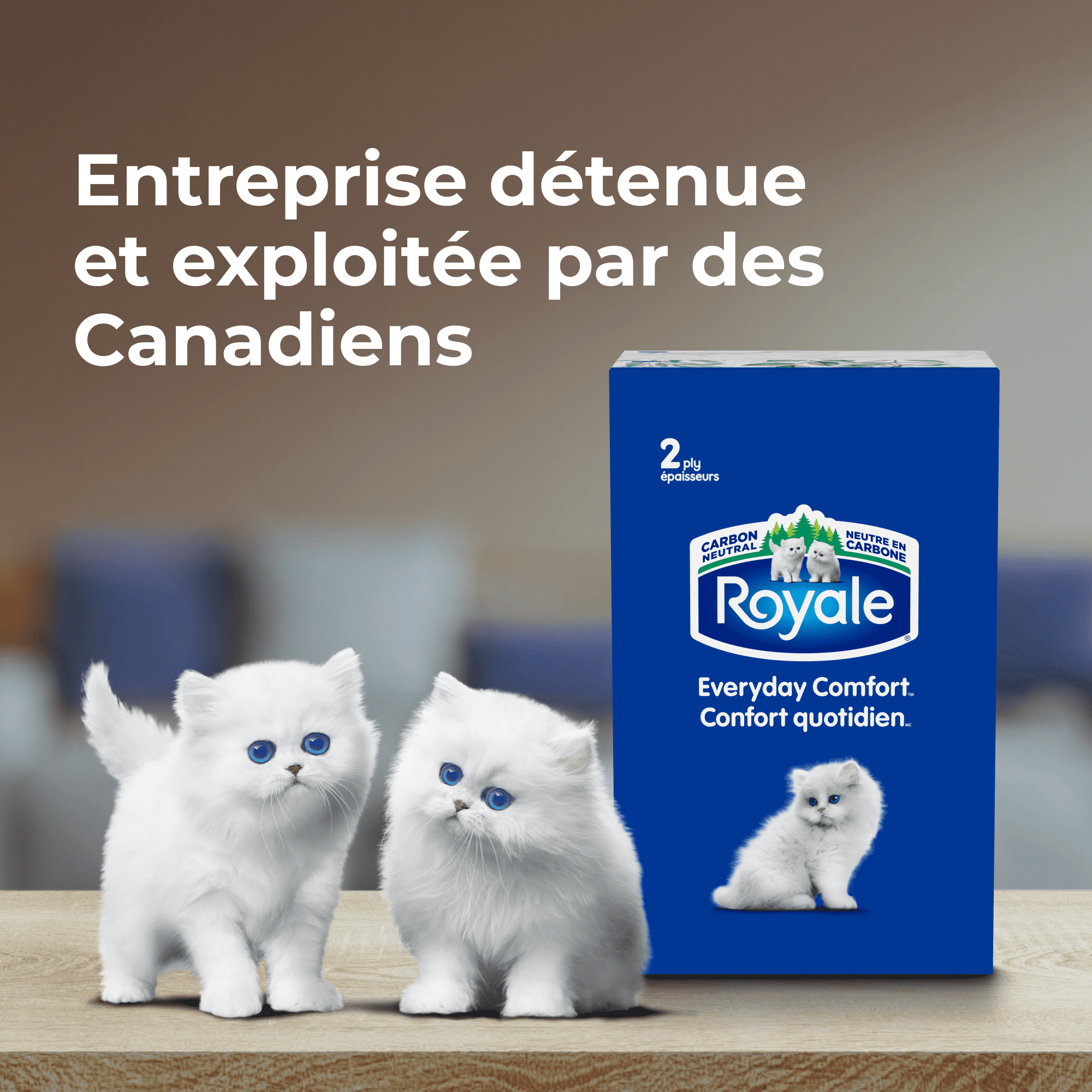 Royale Everyday Comfort, 2 Ply Facial Tissue, 18 Flat Boxes, 126 Tissues per Box