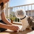 thumbnail image 2 of Multifunctional Cat Muzzle For Biting Licking Prevention Adjustable Breathable Collar Pet Accessory For Indoor Outdoor Use, 2 of 6