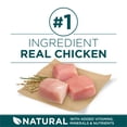 thumbnail image 3 of Purina ONE SmartBlend Large Breed Puppy Formula Chicken, Dry Dog Food 14 kg, 3 of 8