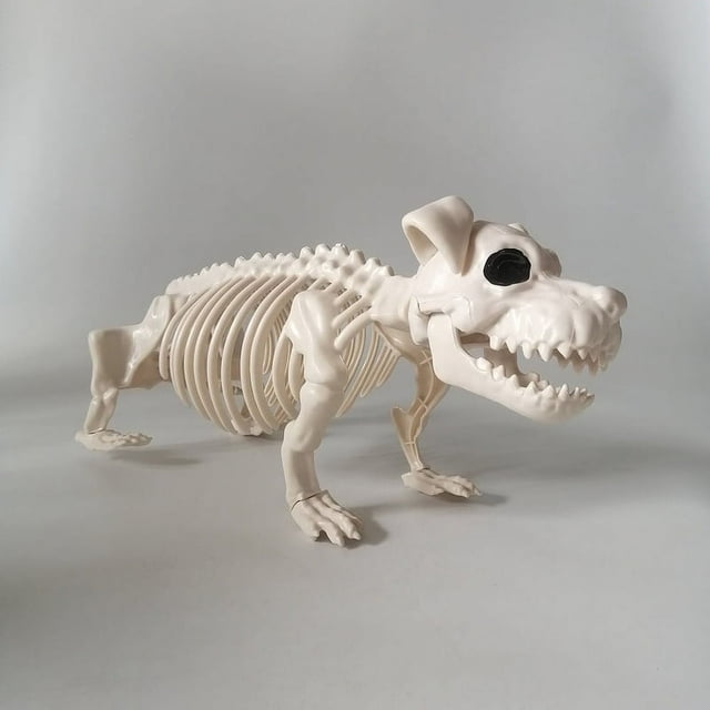 Halloween Skeleton Dog Prop Animal Bones Party Shop Decoration Horror