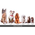 thumbnail image 2 of Printtoo 3D Animal Shape Cushion Plush Soft Toy Both Side Customized Photo Pillow Birthday Gift Home Decor-16X16, 2 of 6