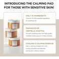 thumbnail image 3 of SKIN1004, Madagascar Centella Quick Calming Pad, Quick Calming Effect Soothing for Sensitive Skin, 70 Pads each, 130ml, 3 of 9