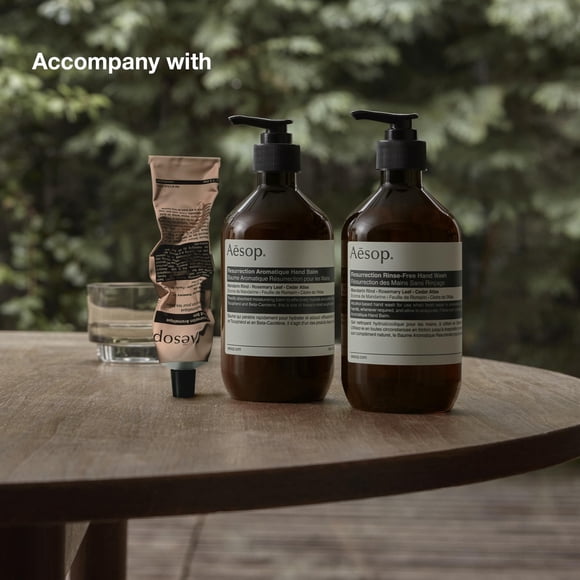 Remis à Neuf Aesop Resurrection Savon à Mains Aromatique 16,9 Fl Oz/500 ml - Gel Nettoyant Doux aux Arômes d'Agrumes et Herbacées