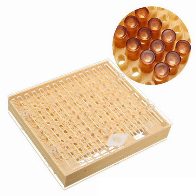 yingyy Kit de Tasses de Cellule d'Apiculture Queen Kit de Tasses de Cellule d'Apiculture Système Complet Attrape-Abeilles Cage Outil d'Apiculture