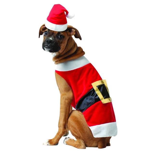 Santa Claus Pet Dog Costume Medium