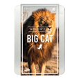 thumbnail image 1 of Gift Republic: Adoptez un Grand Chat, 1 of 10