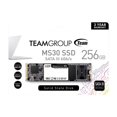 thumbnail image 2 of TEAMGROUP MS30 256GB with SLC Cache 3D NAND TLC M.2 2280 SATA III 6Gb/s Internal Solid State Drive SSD (Read/Write Speed up to 500/400 MB/s) Compatible with Laptop & PC Desktop TM8, 2 of 2