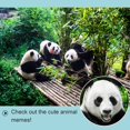 thumbnail image 2 of Jumelles Jouets pour Observation des Animaux 1 Pce Zoom 821 Haute Résolution HD ABS Antichoc Mini Portable Produits pour Enfants, 2 of 20
