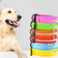 thumbnail image 4 of LED Dog Collar Creative Glowing Pet Collar Dog Safety Collar Pet Supplies, 4 of 10