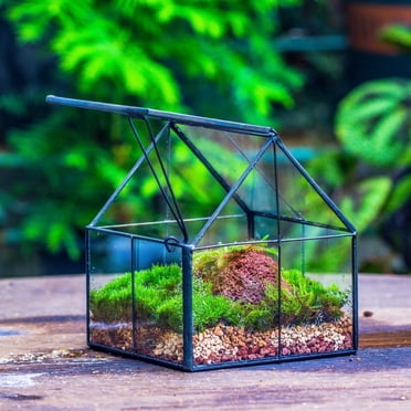 NCYP Mini House Shape Terrarium with Lid, Small Close Planter Pot, Home Decor, Decorative Planting (Terrarium Only)