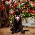 thumbnail image 4 of PinesC Bandana de Noël pour Chien, Costume Formel de Noël à Carreaux Rouges avec Nœud Papillon Réglable pour Chiens Moyens Animaux (m, Noël), 4 of 5