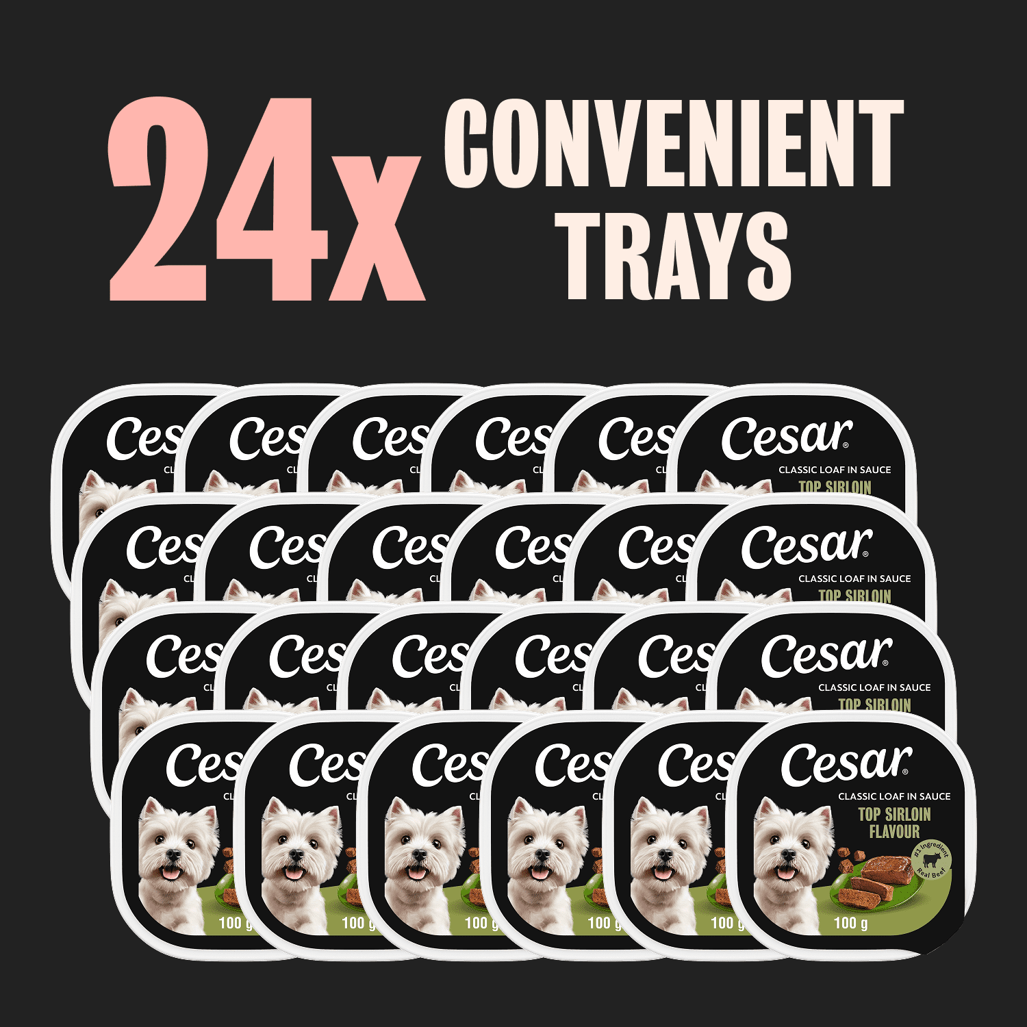 Nourriture humide pour chiens CESAR pain classique en sauce saveur de haut de surlonge