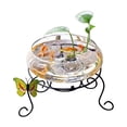 thumbnail image 4 of Large Glass Hydroponic Turtle Planter Bowl - Transparent Aquatic Fish Tank for Water Plants & Goldfish, Coin Grass Container, 4 of 9