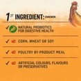 thumbnail image 4 of Beyond Grain Free Farm-Raised Chicken & Egg Recipe, Dry Dog Food 4.5KG, 4 of 6