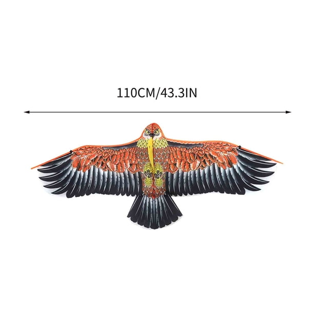 566016_3 566016_3