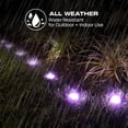 thumbnail image 2 of Monster Smart Ground Accent Lights, 50 ft, 15 LED Lights, Multicolor + Multiwhite (RGBIC+ WW), Expandable, Music Sync, App & Voice Control, Works with Alexa/Google, Indoor/Outdoor,, 2 of 8
